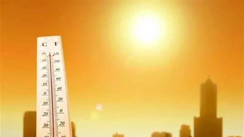 حالة الطقس غدا، فيتو