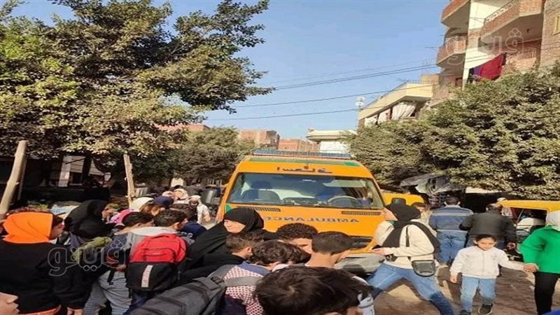 حادث تصادم، فيتو