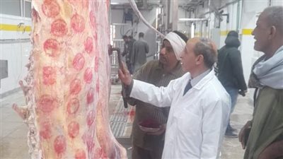 استعدادات أسيوط لعيد الأضحى، إلغاء إجازات البيطريين و33 مجزرا آليا للذبح مجانا