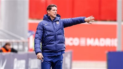 فرناندو توريس مديرا فنيا لأتليتكو مدريد 