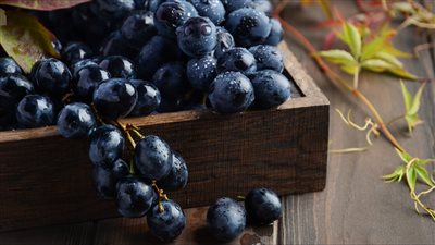 يحمي من الأورام السرطانية والزهايمر، اكتشفي فوائد العنب الأسود