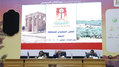 محافظة الوادي الجديد ترفع درجة الاستعداد بالقطاعات والمرافق استعدادا لعيد الأضحى