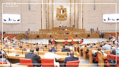 كيف يناقش البرلمان برنامج الحكومة الجديدة قبل منحها الثقة؟ (إنفوجراف)