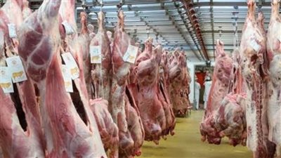 13 مجزرا مفتوحا مجانا في عيد الأضحى بالوادي الجديد 