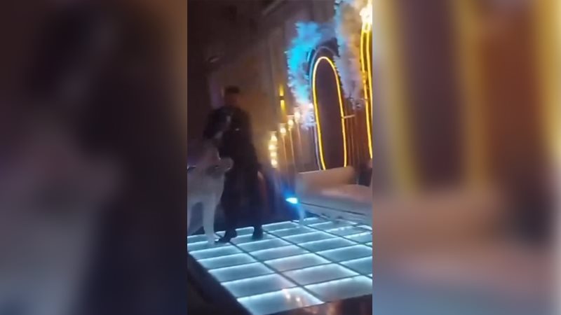 مشاجرة عريس وعروسه