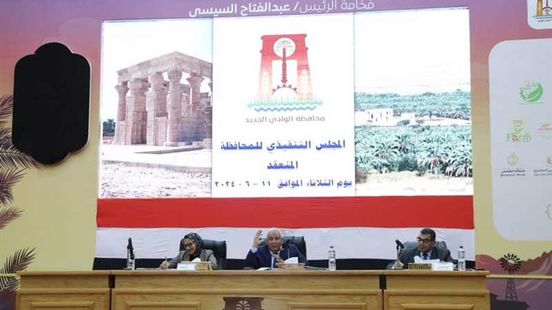 المجلس التنفيذي للوادي