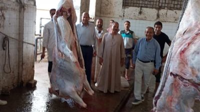 ضبط نصف طن لحوم فاسدة في المنيا