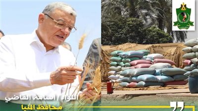 وتوريد 391 ألف طن قمح منذ بدء الموسم بالمنيا