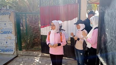 تباين آراء طلاب الوادي الجديد حول امتحان الاقتصاد والإحصاء 