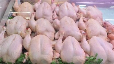 مطعمة بمادة حفظ الجثث، الجزائر تعتقل أكبر موردي اللحوم البيضاء