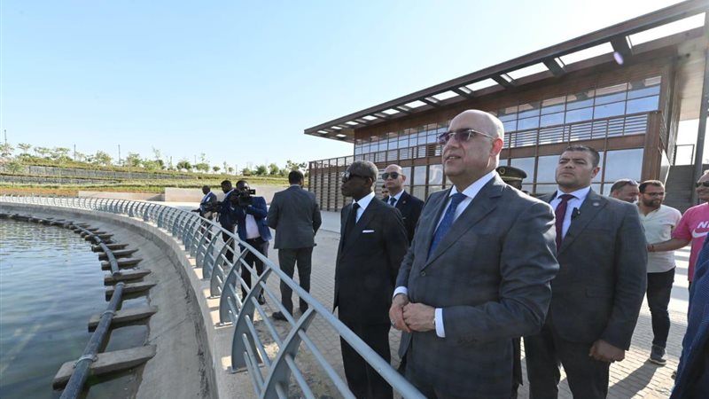 د. عاصم الجزار وزير