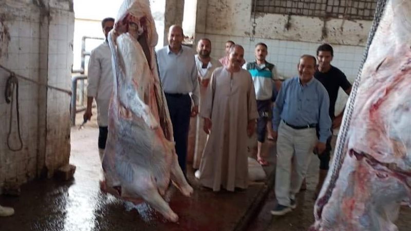 بيطري المنيا يضبط