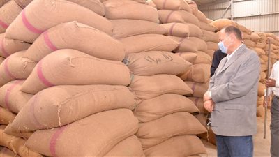 توريد 187 ألف طن قمح لشون وصوامع أسيوط 