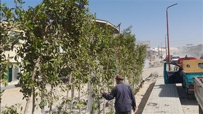 وزارة البيئة: زراعة 1.5 مليون شجرة هذا العام 