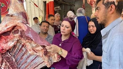 محافظ الإسماعيلية يوجه بمتابعة جودة اللحوم المعروضة بالمنافذ (صور) 