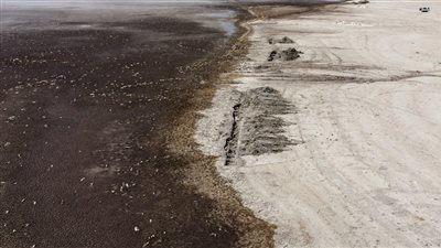 الجفاف يقتل آلاف الأسماك بالمكسيك (صور)