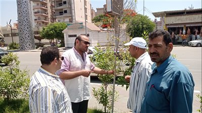 انطلاق المرحلة الثانية من مبادرة زراعة 100 مليون شجرة في محافظة الدقهلية (صور)
