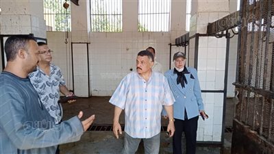 جاهزية 38 مجزرًا حكوميًا، تعرف على استعدادات المنيا لعيد الأضحى المبارك (صور) 