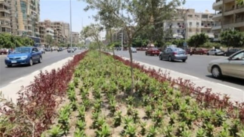 أعمال التشجير، فيتو