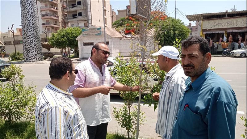 زرع الأشجار، فيتو