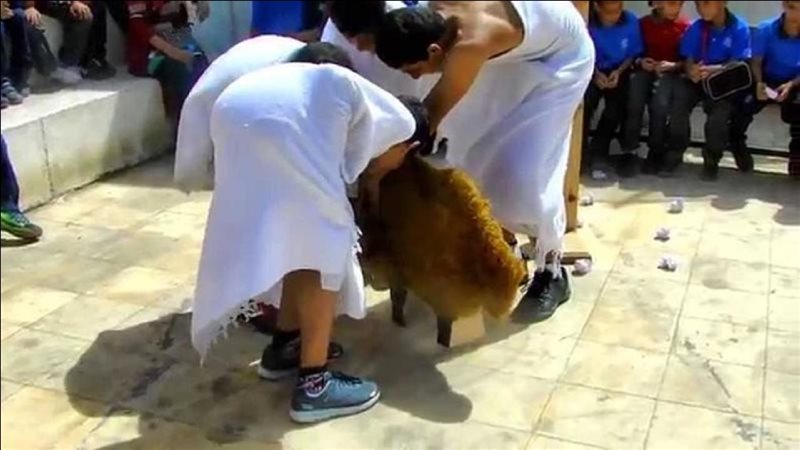 توعية الحجاج بيوم
