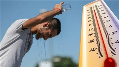 هل قطع الأشجار وراء موجات ارتفاع الحرارة؟ رد غير متوقع من البيئة