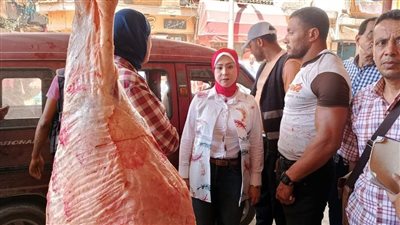 حملة مكبرة بحي الجمرك بالإسكندرية للتفتيش على محلات الجزارة 