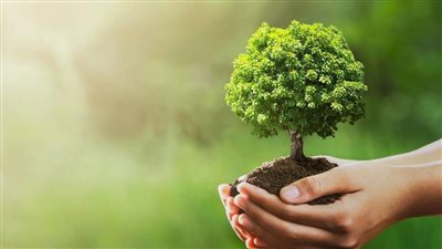 بتكلفة 3 مليارات جنيه، تفاصيل المبادرة الرئاسية لزراعة 100 مليون شجرة (إنفوجراف)