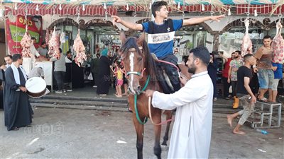 بالمزمار البلدي والحصان، حيلة تسويقية جديدة للجزارين بالإسماعيلية (فيديو وصور) 