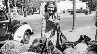 حكايات أهل الفن مع خروف العيد.. عمر الشريف يسقط أرضًا بعد نطحة قوية.. فاطمة رشدي تشتريه من باريس.. ويوسف وهبي يدمن أكل لحم الضأن 