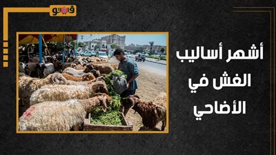 أشهر أساليب الغش في الأضاحي (إنفوجراف)