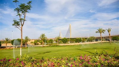 الإسكان: زراعة 12 ألف شجرة مثمرة ضمن مبادرة الرئيس «اتحضر للأخضر» (صور)