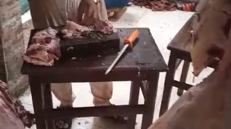 الإسكندرية، فيتو