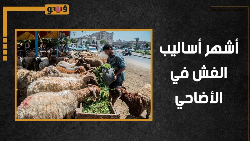 أساليب الغش في الأضاحي،