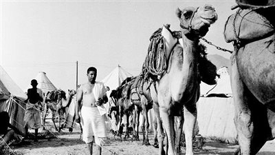 من الإبل إلى التاكسي الطائر، أقدم وأندر فيديو للحج يحظى بتفاعل واسع