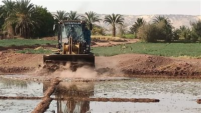 حملة واسعة لمواجهة زراعة الأرز ببلاط الوادي الجديد 