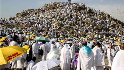 ما حكم من أحرم بالحج ثم مات بعد الوقوف بعرفة؟، الإفتاء توضح 