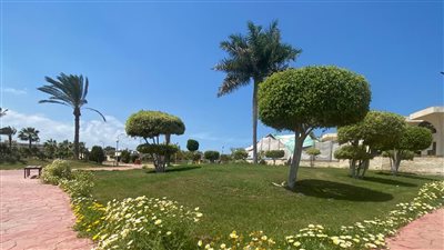 حدائق أكتوبر: 4.2 مليون متر مسطحات خضراء بالمدينة (صور)