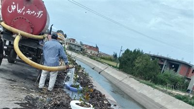 محافظ كفرالشيخ: انتهينا من زراعة 327 ألف شجرة ضمن المبادرة الرئاسية 