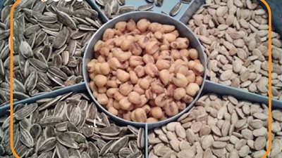  الكيلو يصل لـ 384 جنيهًا.. أسعار اللب والتسالي في عيد الأضحى (إنفوجراف)