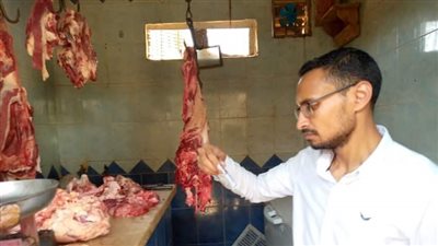 إعدام منتجات غذائية فاسدة بالوادي الجديد 