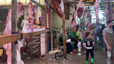الكوارع بـ 160 جنيهًا والفشة بـ 80، ننشر أحدث أسعار اللحوم ومشتقاتها، جزارون: «الركود أصاب السوق والموسم انضرب» (صور)