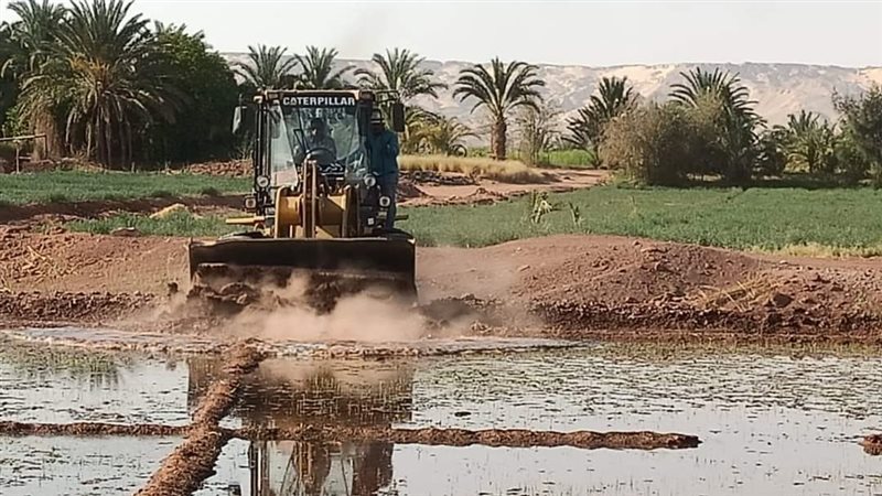 إزالة زراعات الأرز،
