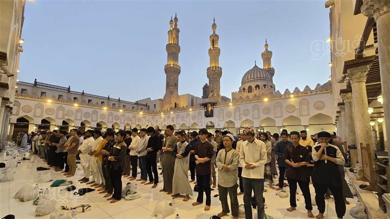 الجامع الأزهر، فيتو