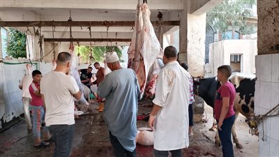 الزراعة: ذبح أكثر من 28 ألف أضحية بالمجازر الحكومية في 3 أيام