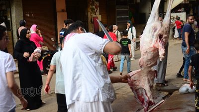 احتفالات المصريين بعيد الأضحى في المحافظات.. محافظ القليوبية يوزع البالونات.. وأهالي كفر الشيخ يقبلون على الحدائق والمتنزهات