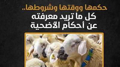 حكمها ووقتها وشروطها.. كل ما تريد معرفته عن أحكام الأضحية (إنفوجراف)