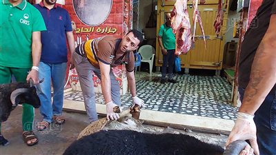 نحر الأضاحي.. أسعار الذبح في الإسكندرية أول أيام عيد الأضحى (فيديو وصور)