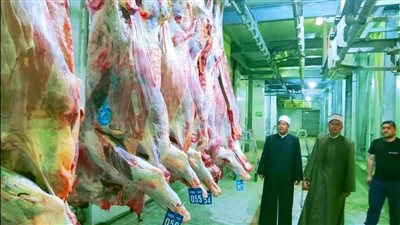 انطلاق عملية ذبح أضاحي الأوقاف في الوقت الشرعي بإشراف بيطري (صور)