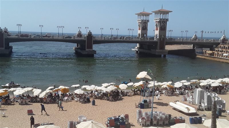 الإسكندرية، فيتو